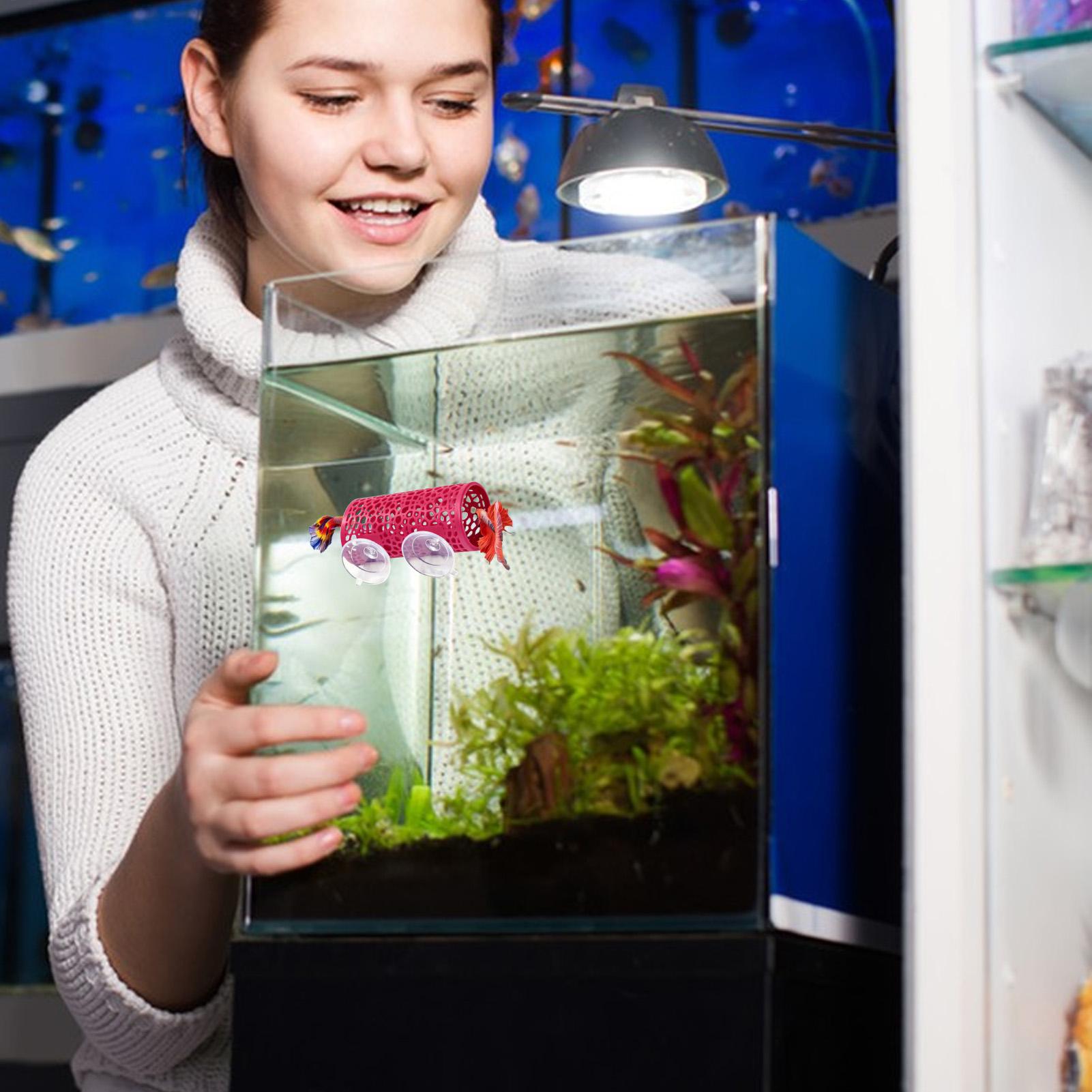 Betta Fish Tank - Betta Habitat Resting Shelter Ornament Fish
