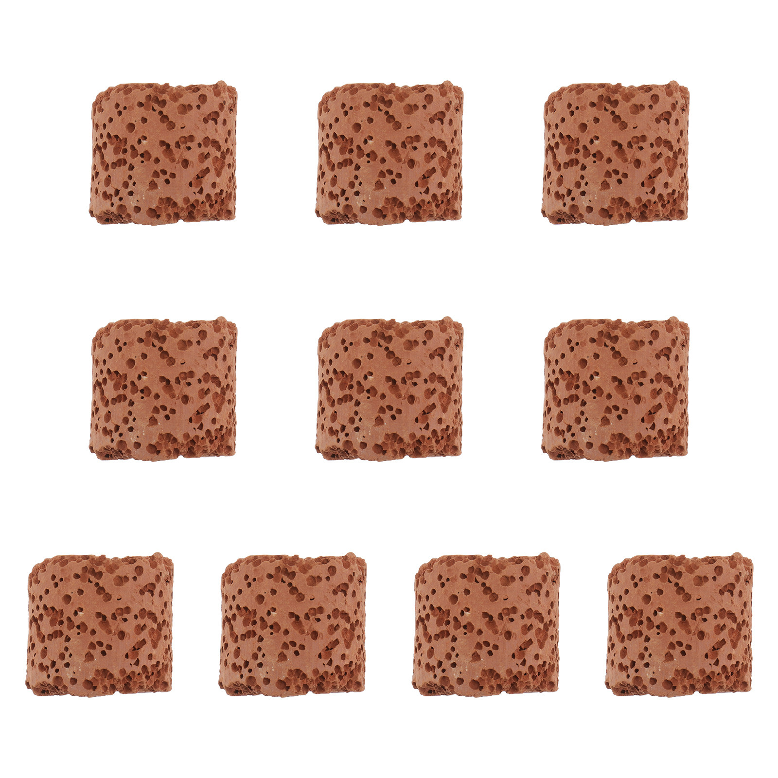 Aquarium Plants - 10Pcs Fixed Ring for Aquarium Plants