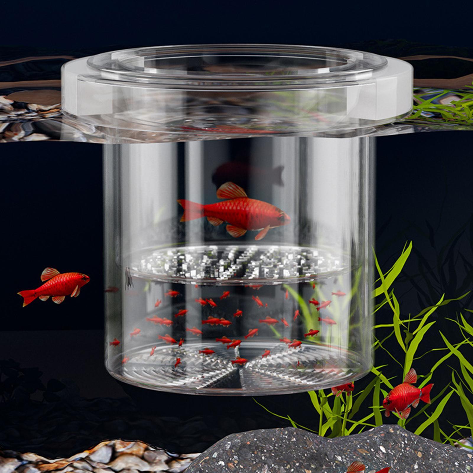 Durable Fish Breeder Box Fish  - Betta Fish Tank recension och pris