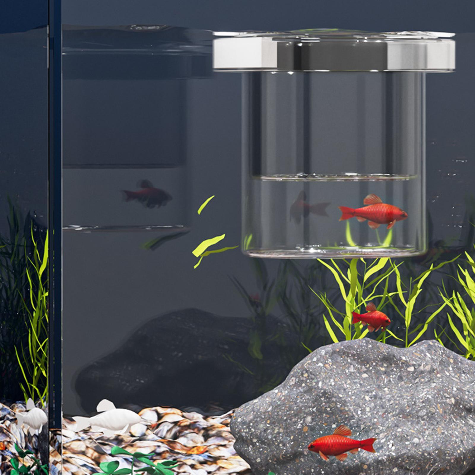 Durable Fish Breeder Box Fish  - Betta Fish Tank recension och pris