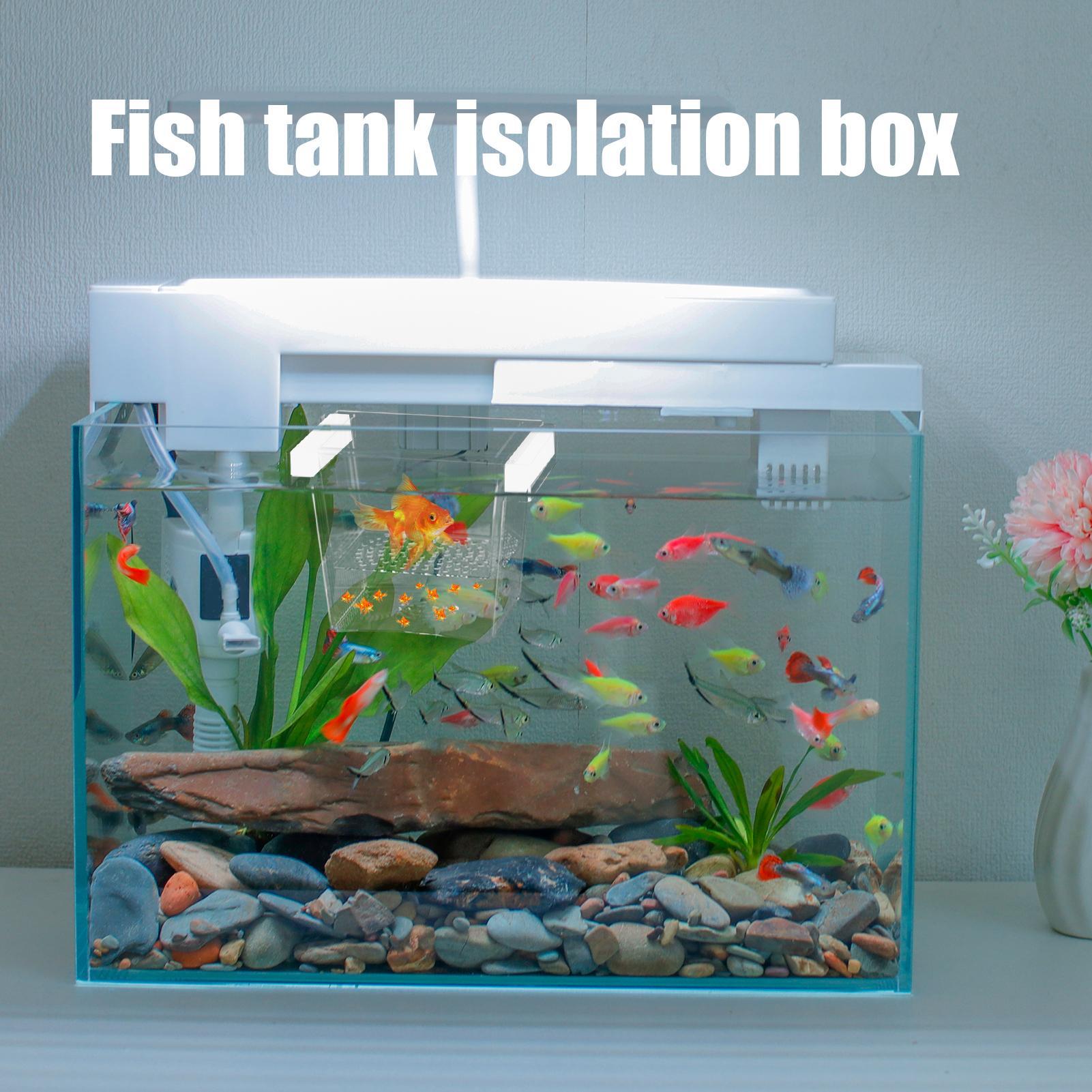 Durable Fish Breeder Box Fish  - Betta Fish Tank recension och pris