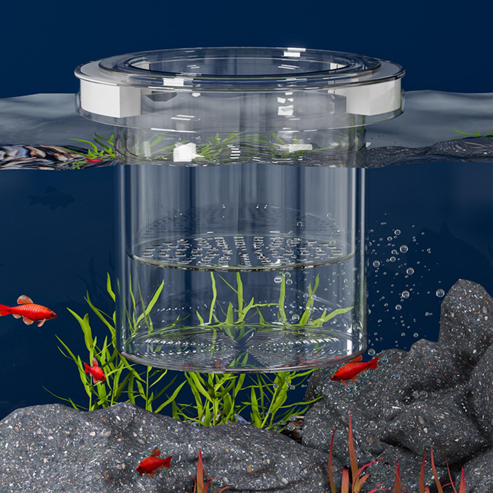 Floating Fish Breeding Isolati - Betta Fish Tank recension och pris