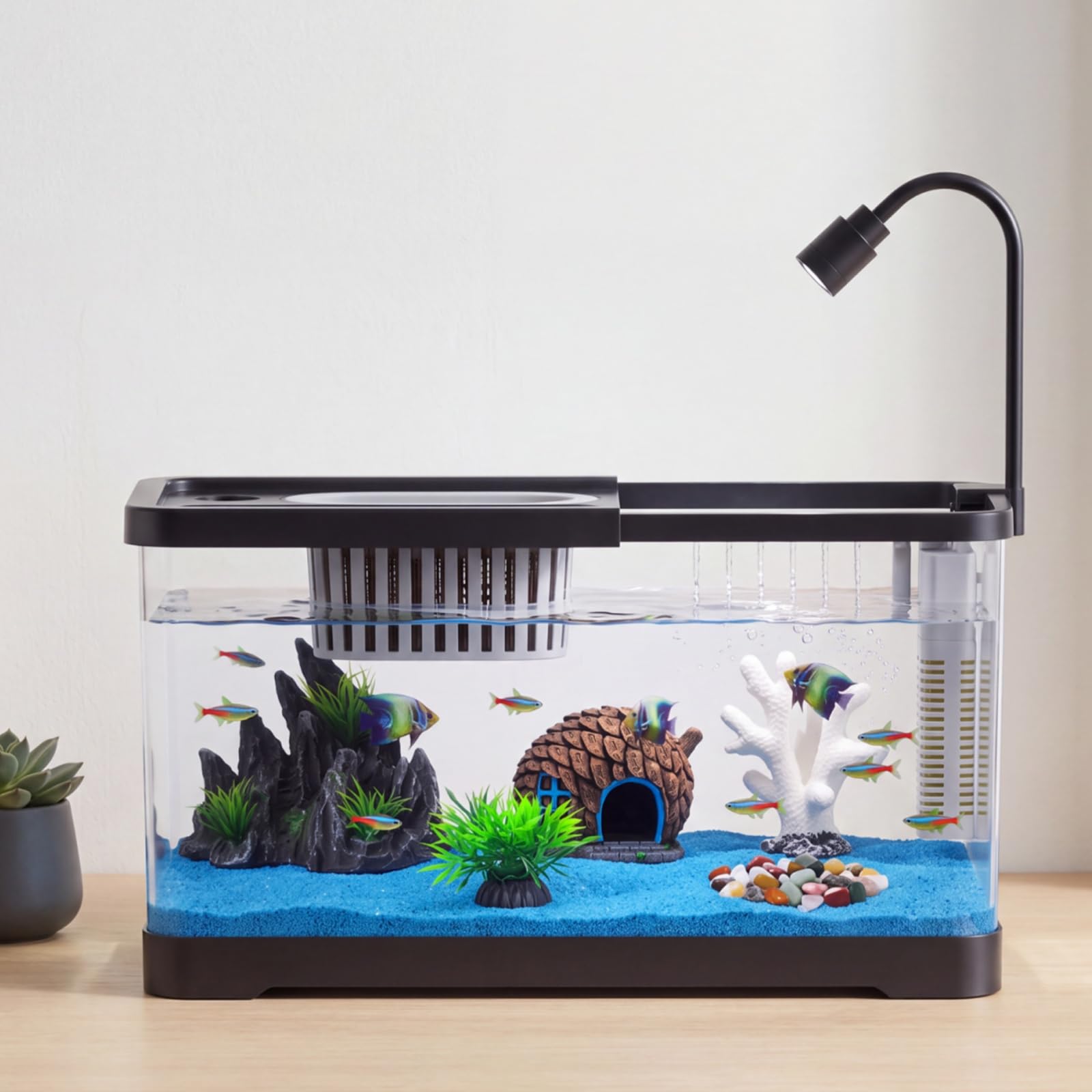 Fish Tank Starter Kit With Fil - Betta Fish Tank recension och pris