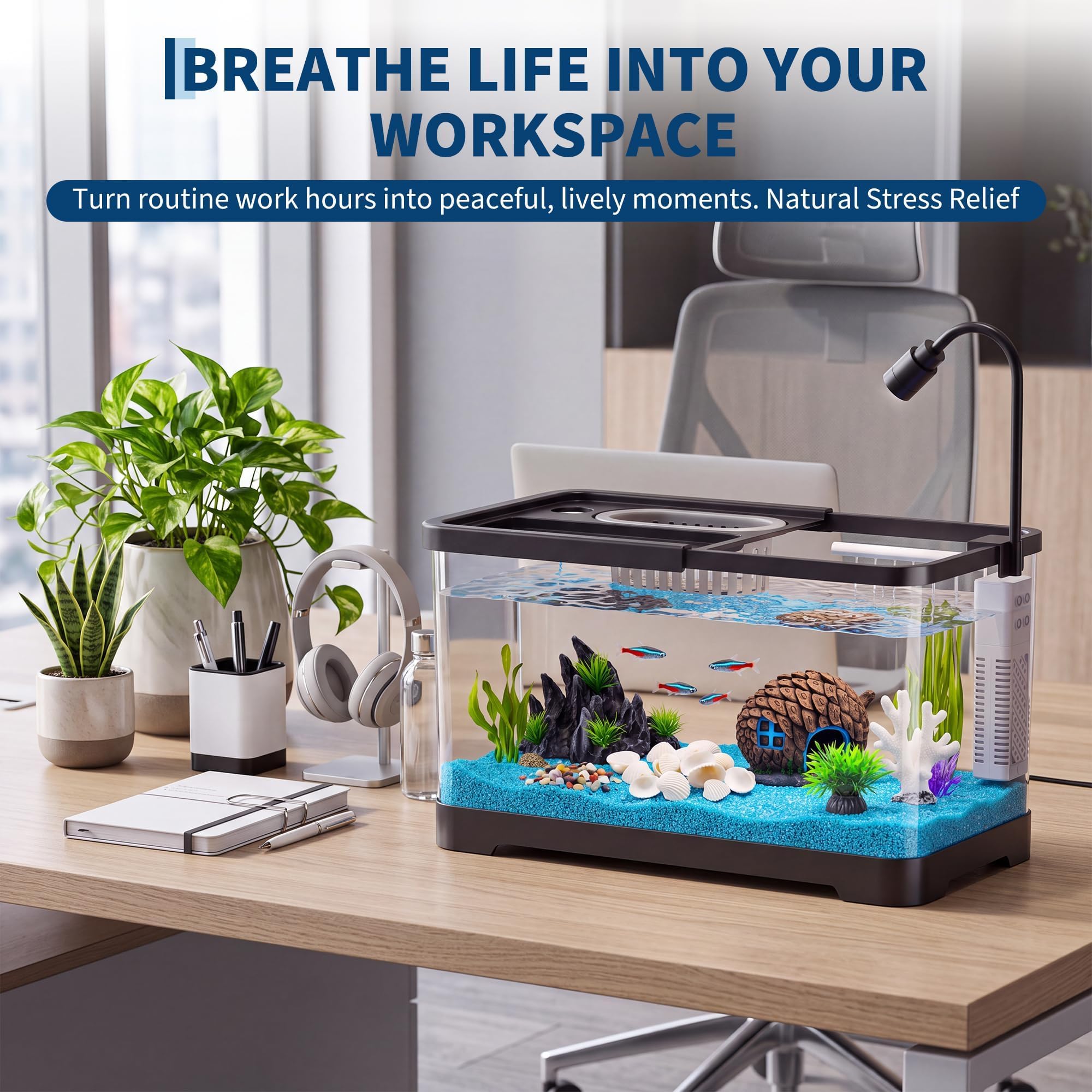 Fish Tank Starter Kit With Fil - Betta Fish Tank recension och pris