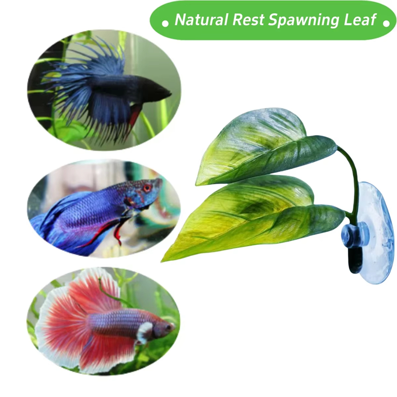 Aquarium Pet Supplies Decorati - Betta Fish Tank recension och pris