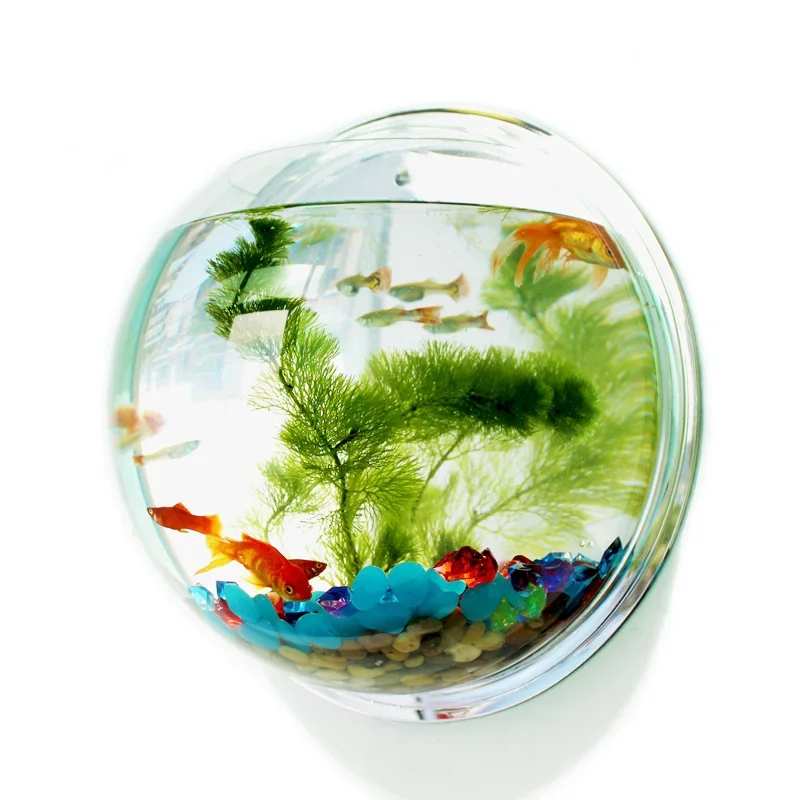 Pinsjar Acrylic Fish Bowl Wall - Betta Fish Tank recension och pris