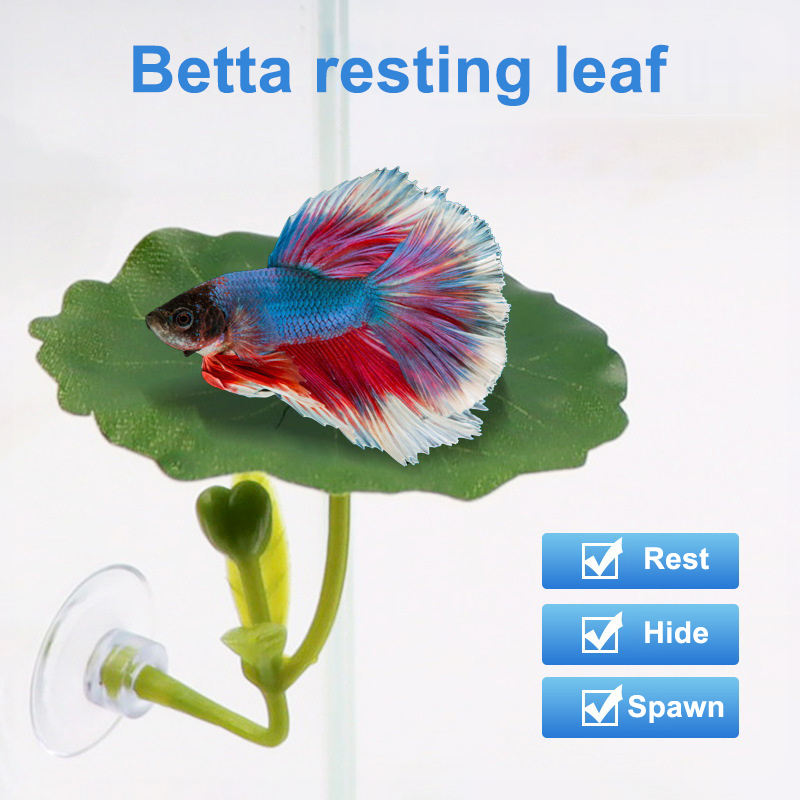 (Ce14)1/5PC Green Leaf Hammock - Betta Fish Tank recension och pris