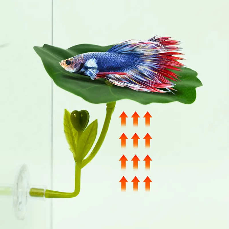 (Ce14)1/5PC Green Leaf Hammock - Betta Fish Tank recension och pris