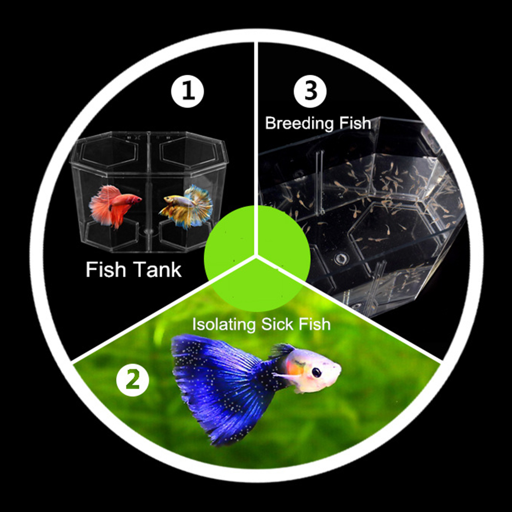 Acrylic Two Splits Guppy Fish  - Betta Fish Tank recension och pris