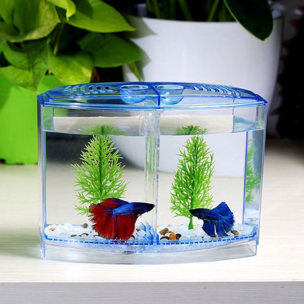 Transparent Betta Fish Tank, D - Betta Fish Tank recension och pris