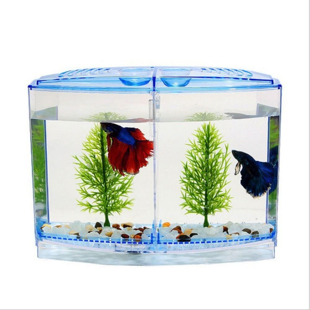 Transparent Betta Fish Tank, D - Betta Fish Tank recension och pris