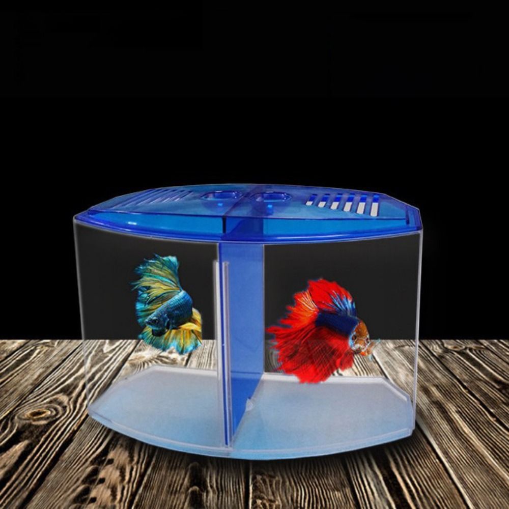 Transparent Betta Fish Tank, D - Betta Fish Tank recension och pris