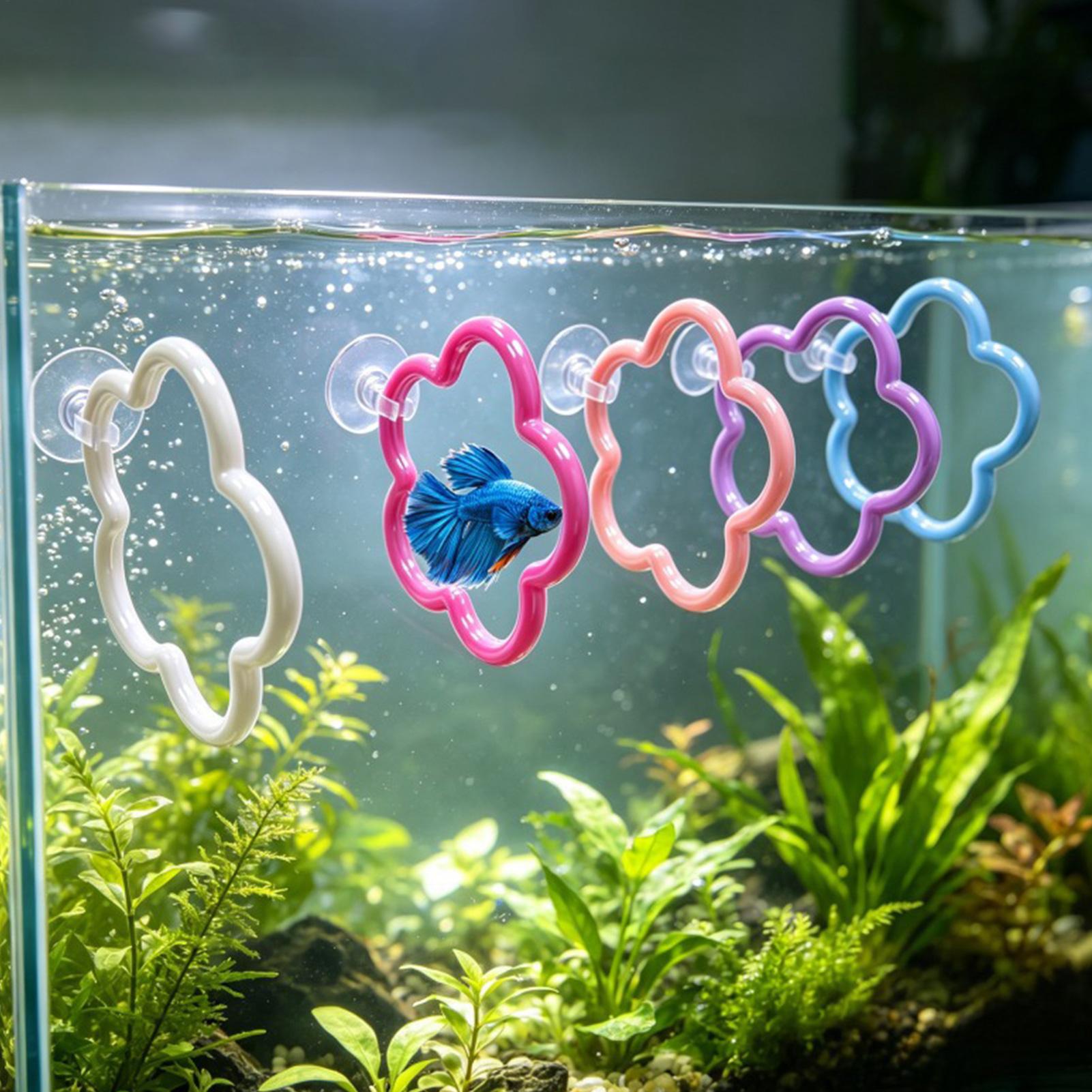 Betta Fish Toys 5 Pieces Color - Aquarium Fish Betta recension och pris