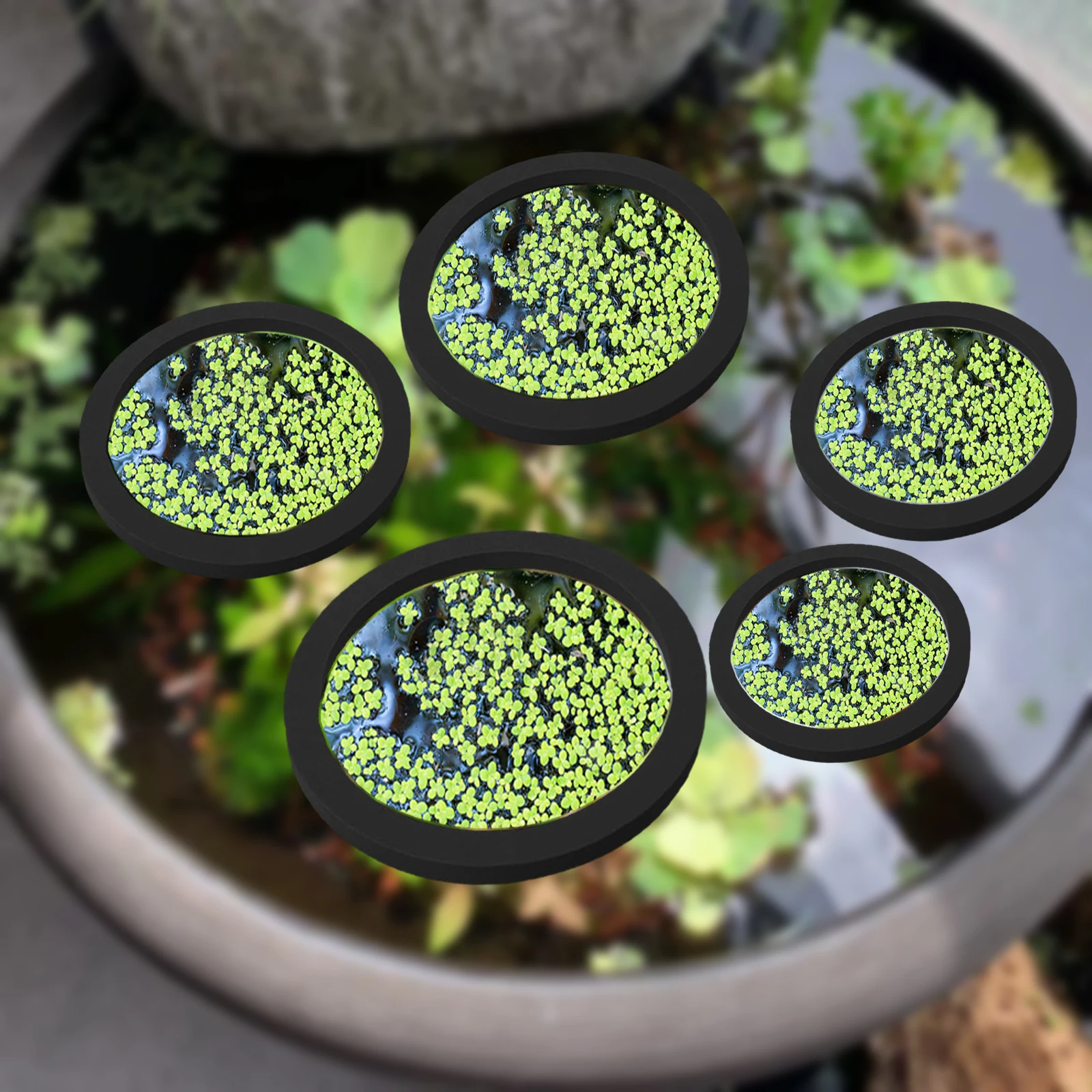 5Pcs EVA Fish Feeding Ring Aqu - Fish Aquarium Home recension och pris