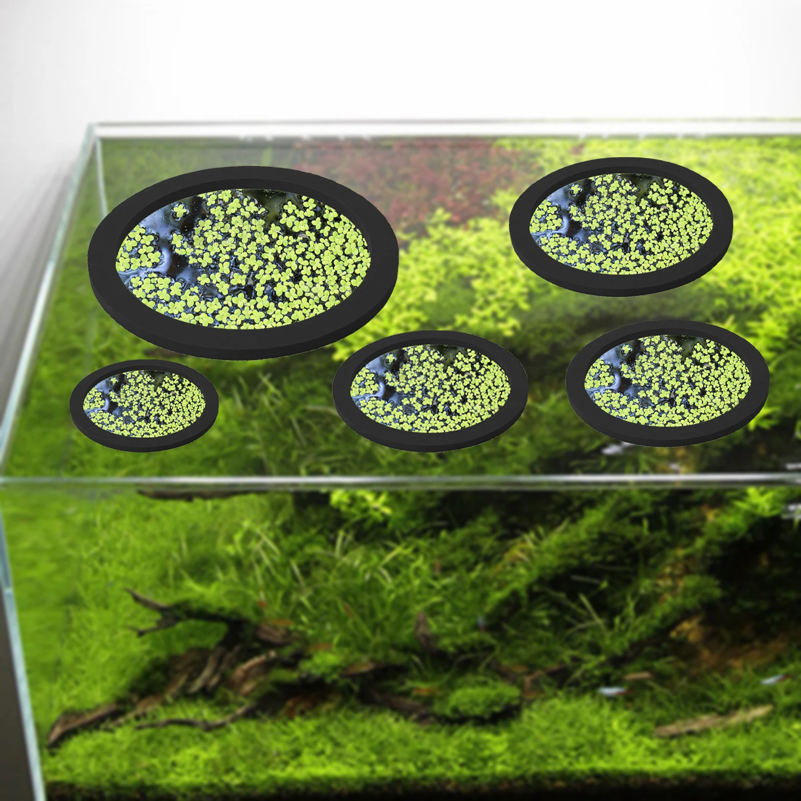 5Pcs EVA Fish Feeding Ring Aqu - Fish Aquarium Home recension och pris