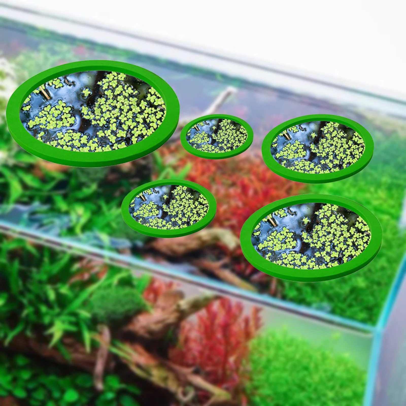 5Pcs EVA Fish Feeding Ring Aqu - Fish Aquarium Home recension och pris