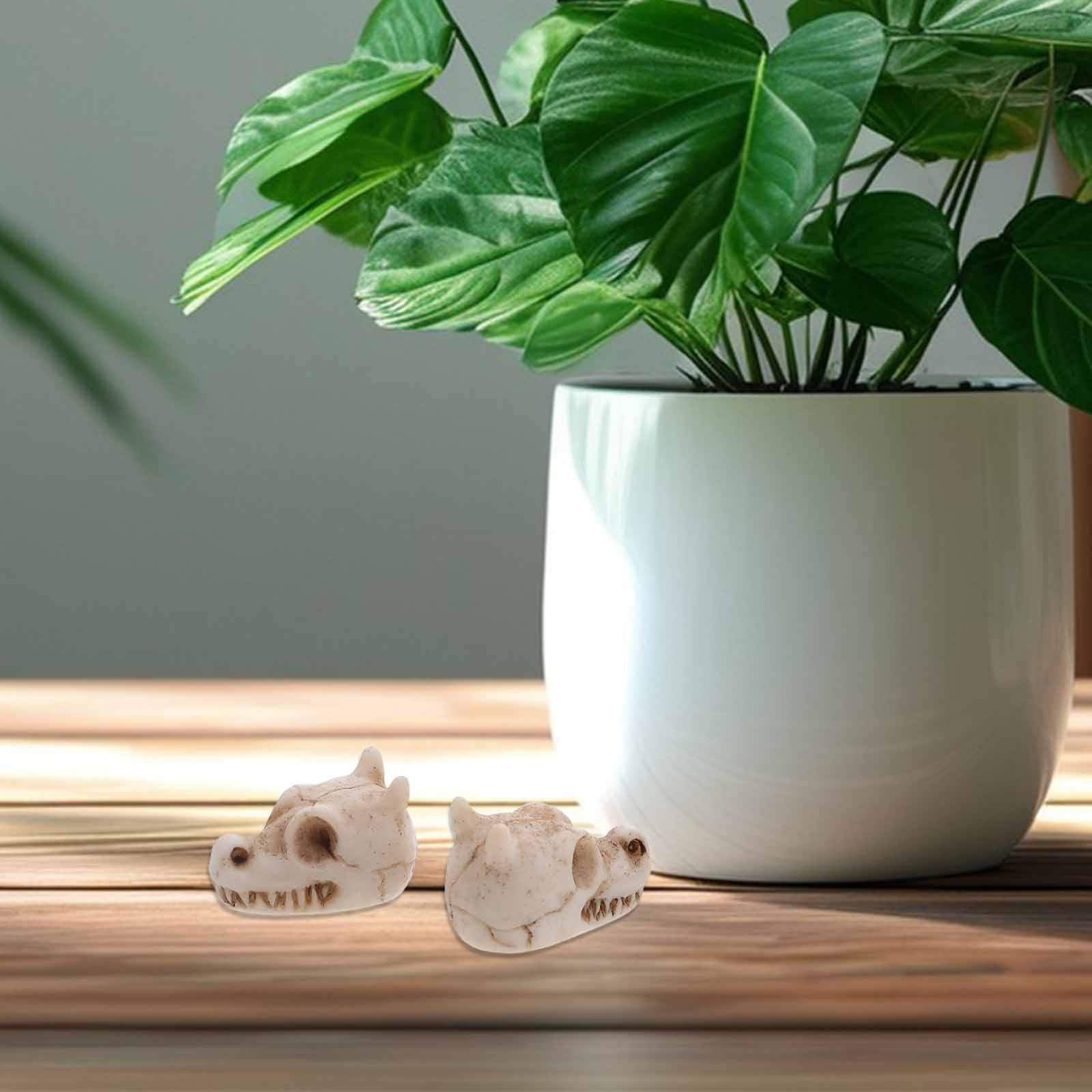 20Pcs Mini Dragon Skull Resin  - Aquarium Decor recension och pris