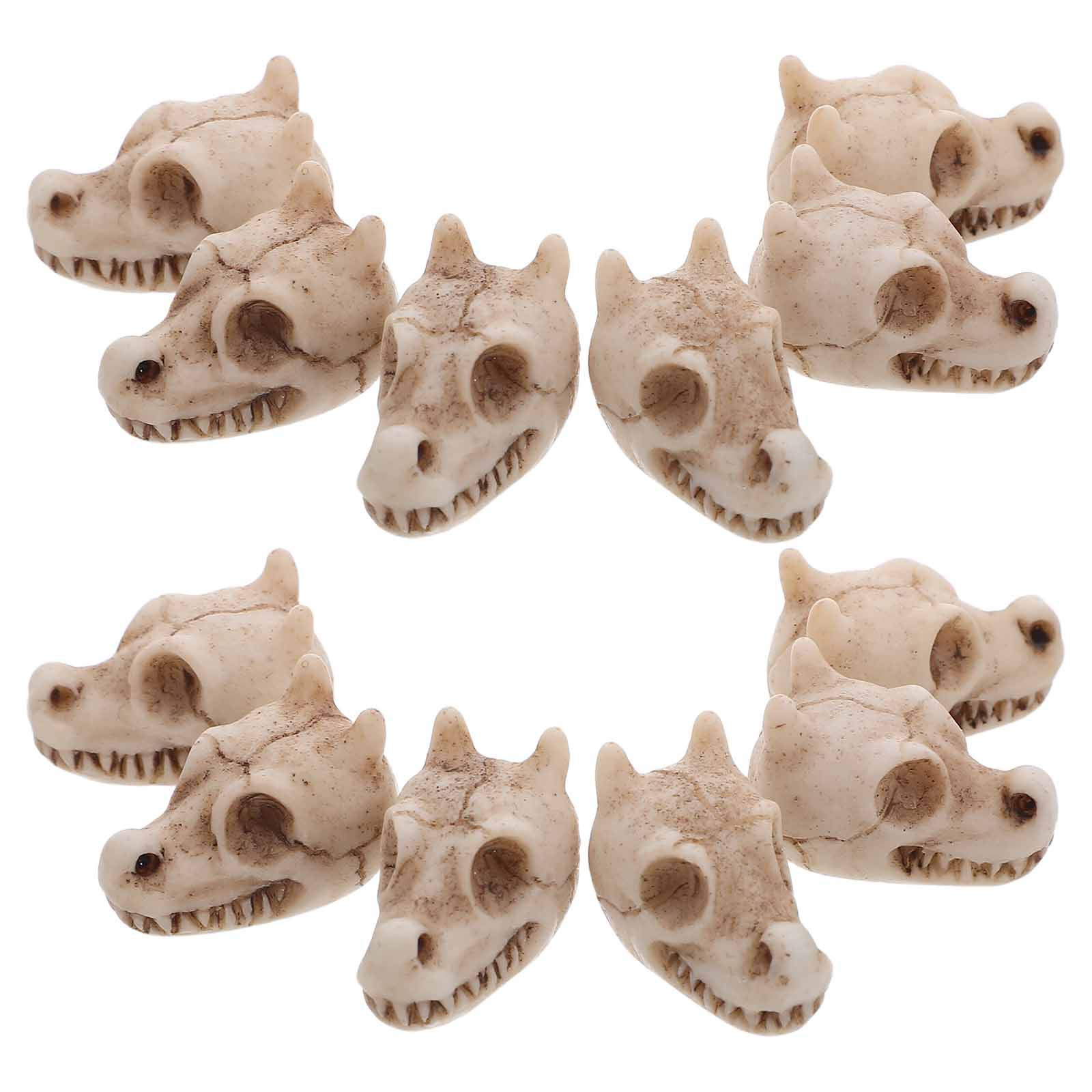 20Pcs Mini Dragon Skull Resin  - Aquarium Decor recension och pris