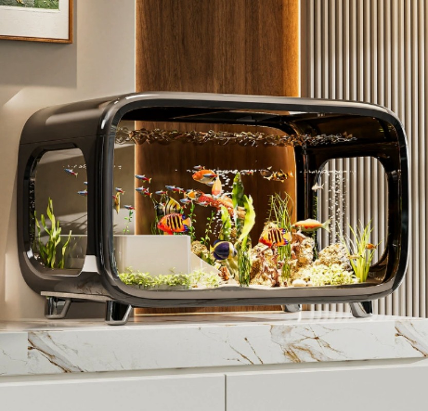 Creative Transparent Ecologica - Fish Aquarium Home recension och pris