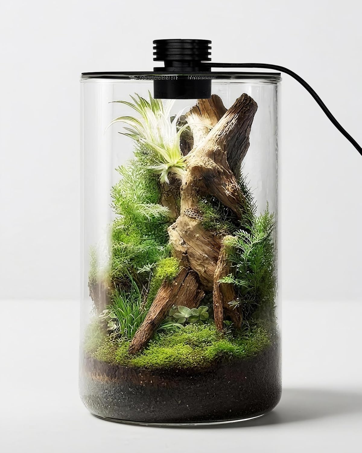 Indoor Glass Terrarium with Gr - Betta Fish Tank recension och pris