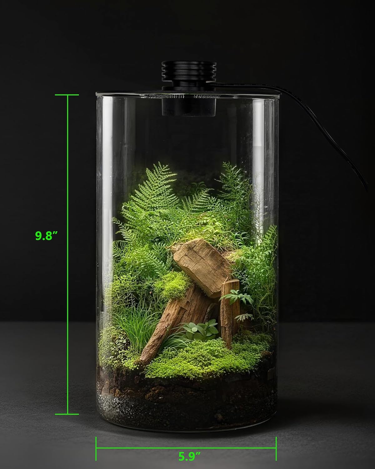 Indoor Glass Terrarium with Gr - Betta Fish Tank recension och pris