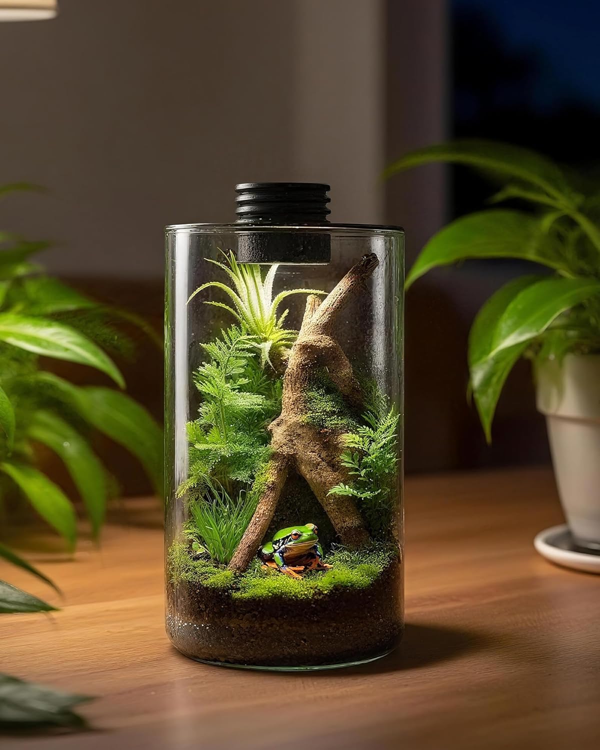Indoor Glass Terrarium with Gr - Betta Fish Tank recension och pris