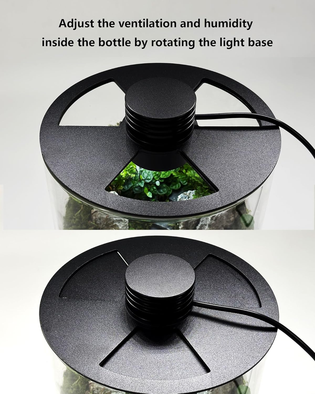 Indoor Glass Terrarium with Gr - Betta Fish Tank recension och pris