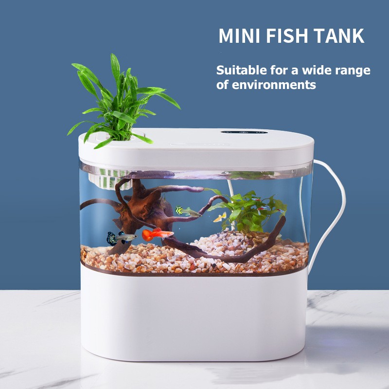 Creative Mini Desktop Fish Tan - Betta Fish Tank recension och pris