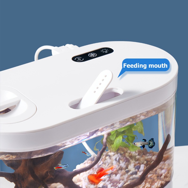 Creative Mini Desktop Fish Tan - Betta Fish Tank recension och pris