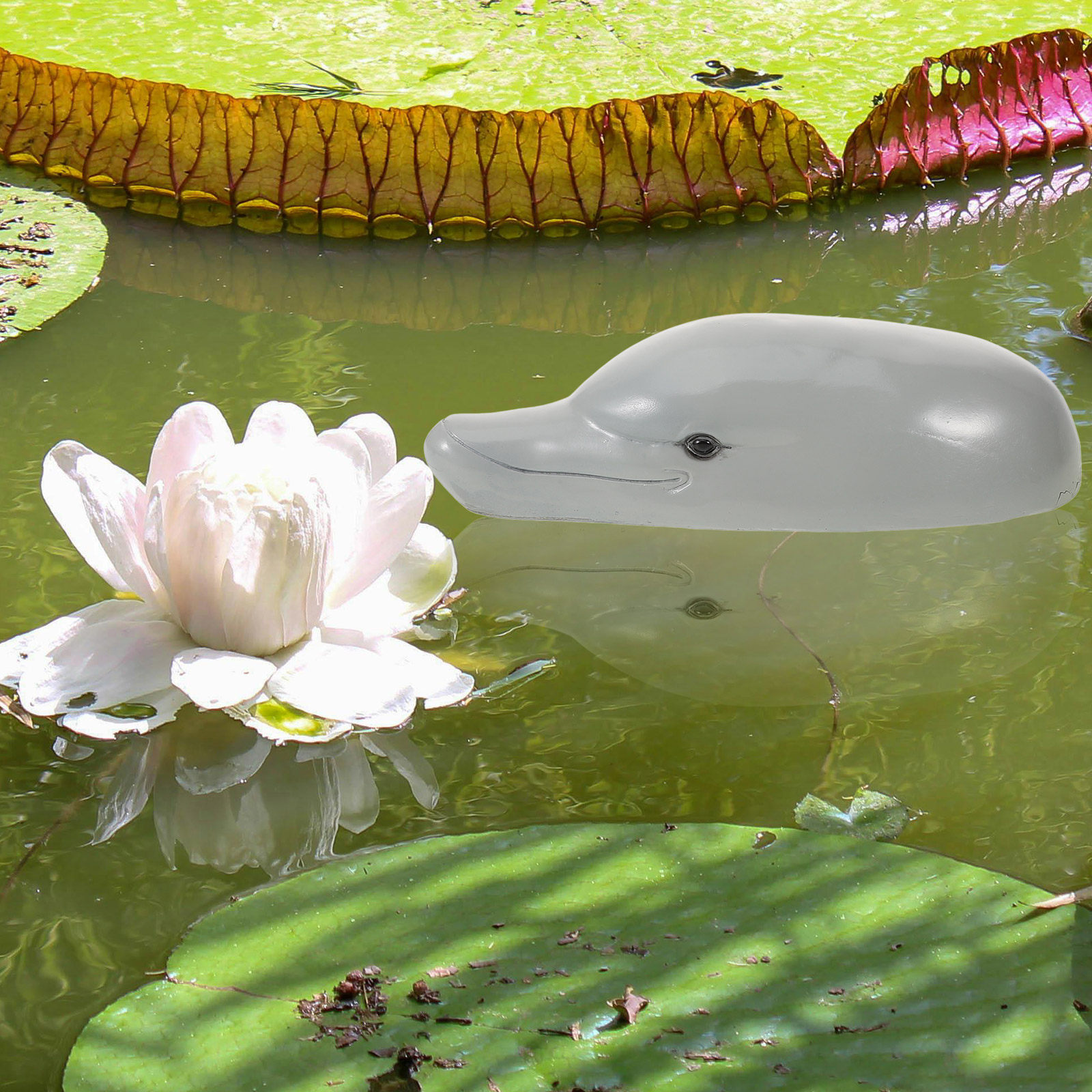 Premium Resin Dolphin Head Orn - Aquarium Decor recension och pris