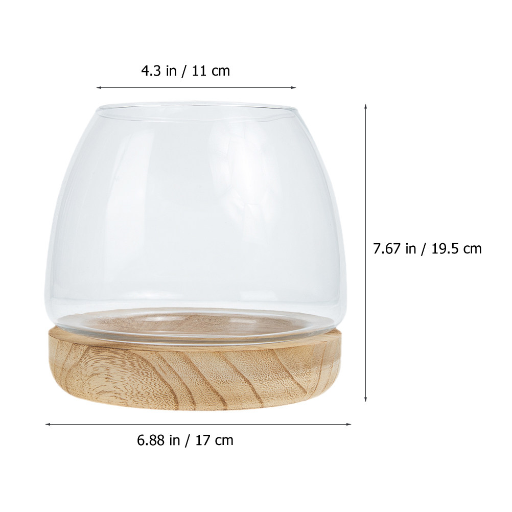 1Set Clear Glass Hydroponic Pl - Aquarium Plants recension och pris